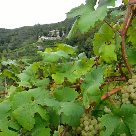 Agriturismo Crodi Фермерский дом