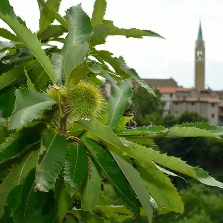 Agriturismo Crodi * Miane
